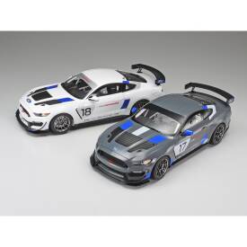 1:24 Ford Mustang GT4 300024354