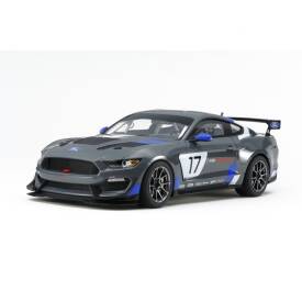 1:24 Ford Mustang GT4 300024354