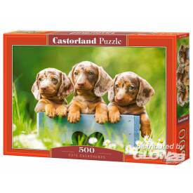 Castorland Cute Dachshunds Puzzle 500 Teile