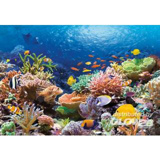 Castorland Coral Reef Fishes,Puzzle 1000 Teile