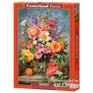 Castorland June Flowers in Radiance,Puzzle 1000 Tei