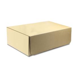 Robitronic Papp-Austauschbox (für R14010)