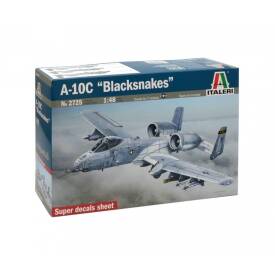 1:48 A-10C "Blacksnakes" 510002725
