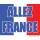 Flagge Allez France ca. 150 x 90 cm