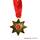 Halskette goldene Medaille in Sternform mit roten Stein an einem roten Seidenband