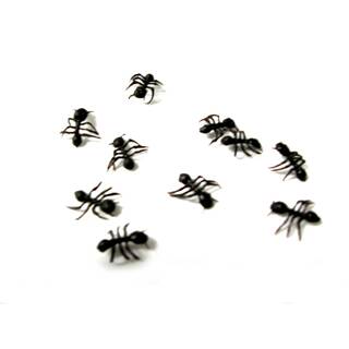 Ameisen schwarz Originalgröße ca. 40 Stück je ca. 1,3 cm